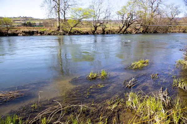 Bahar mevsiminde nehir ve ağaçlar