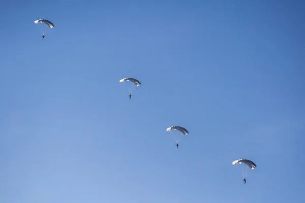 Jumping Parachutists background