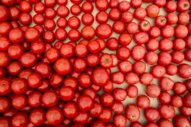 Lezzetli kırmızı domates. Domates yığını