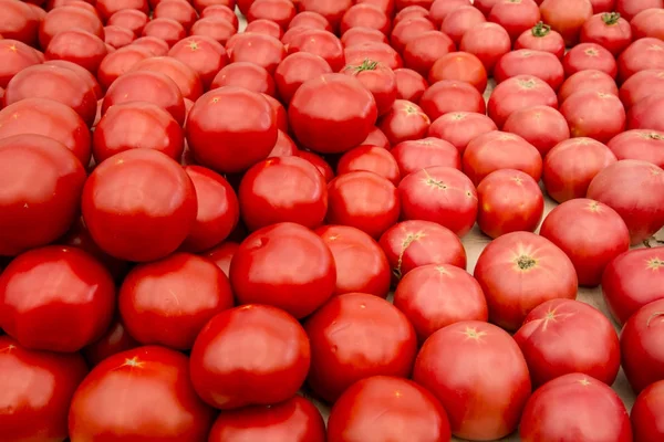 Deliciosos tomates rojos. Un montón de tomates —  Fotos de Stock