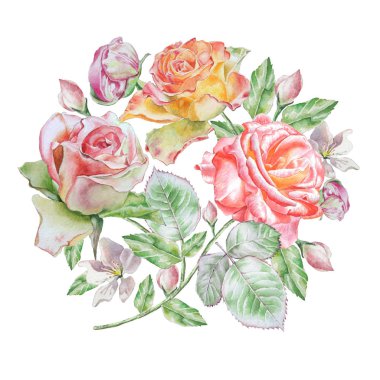 Çiçek çiçek kartı. Rose. Suluboya resim.