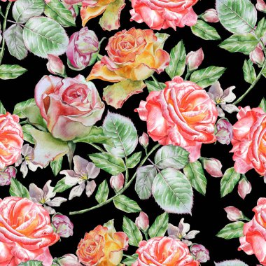 Kırmızı gül ile Seamless modeli. Suluboya resim.