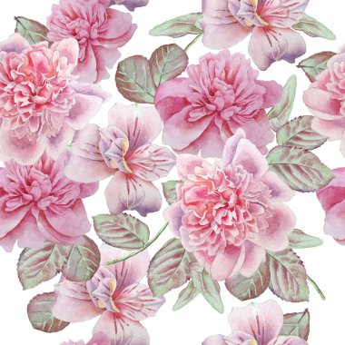 Çiçekler ile Seamless modeli. Alstroemeria. Rose. Şakayık. Suluboya resim.