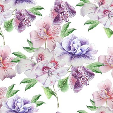 Çiçekler ile Seamless modeli. Petunya. Alstroemeria. Orkide. Suluboya resim.
