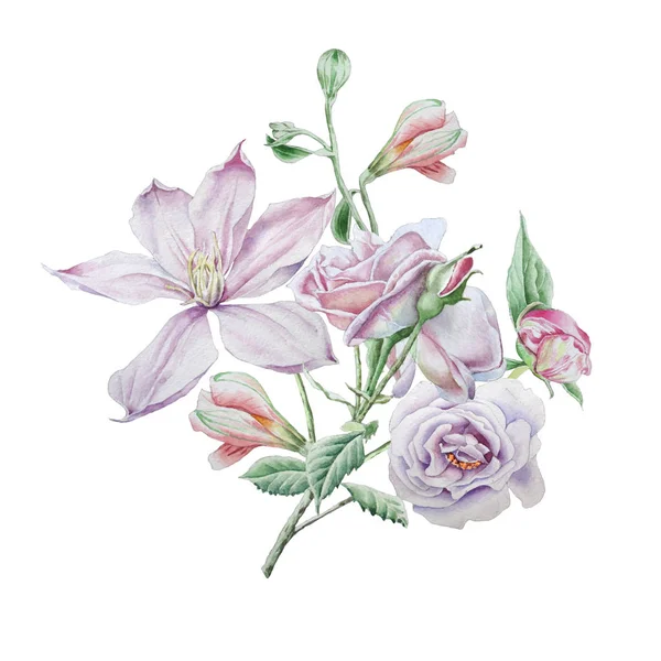 Çiçek çiçek kartı. Akasma. Rose. Alstroemeria. Suluboya resim.