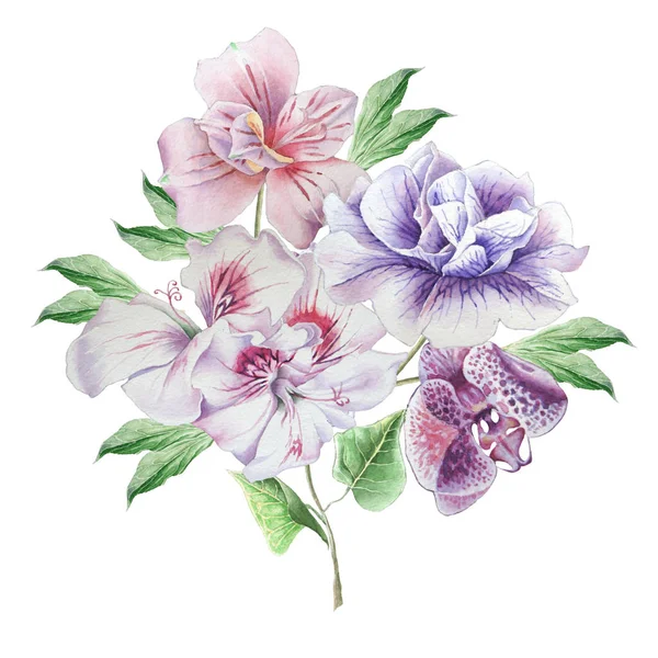 Blumenkarte mit Blumen. Petunien. Alstroemeria. Orchidee. Aquarellillustration. — Stockfoto