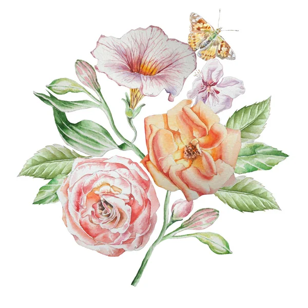 Cartão floral com flores. Rose... Borboleta. Ilustração aquarela . — Fotografia de Stock