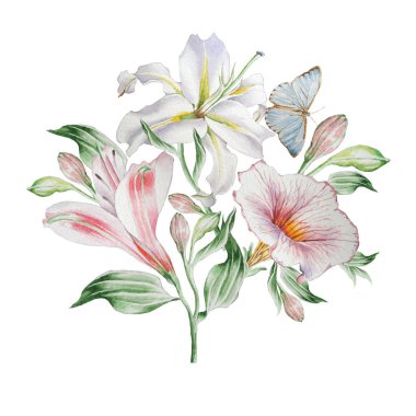 Çiçek çiçek kartı. Lillia'yı. Alstroemeria. Kelebek. Suluboya resim.