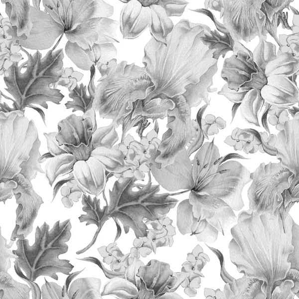 Monochrome seamless pattern with flowers. Narcissus. Iris. Lily. Watercolor illustration. — Stock Photo, Image
