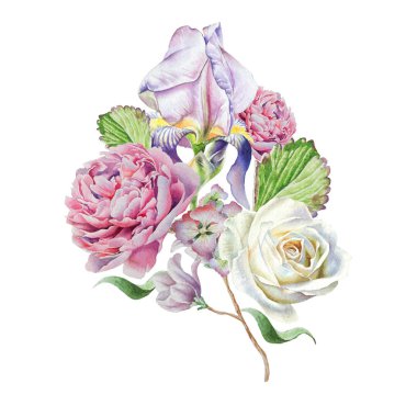 Suluboya buket çiçekli. Iris. Rose. Elle çizilmiş.