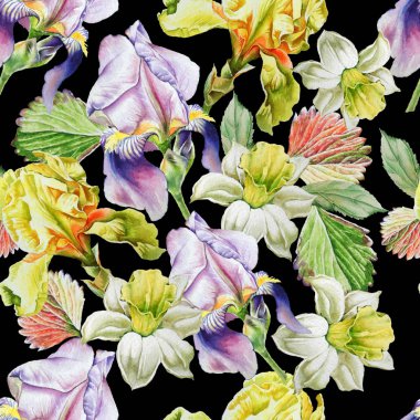 Çiçekler ile Seamless modeli. Nergis. Iris. Suluboya illus