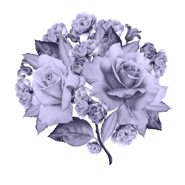 Akvarell bukett med blommor. Rose. Hyacint. Illustration. — Stockfoto