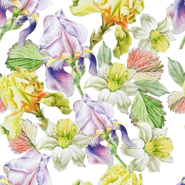 Seamless pattern with flowers. Narcissus. Iris. Watercolor illus — Stock Photo, Image