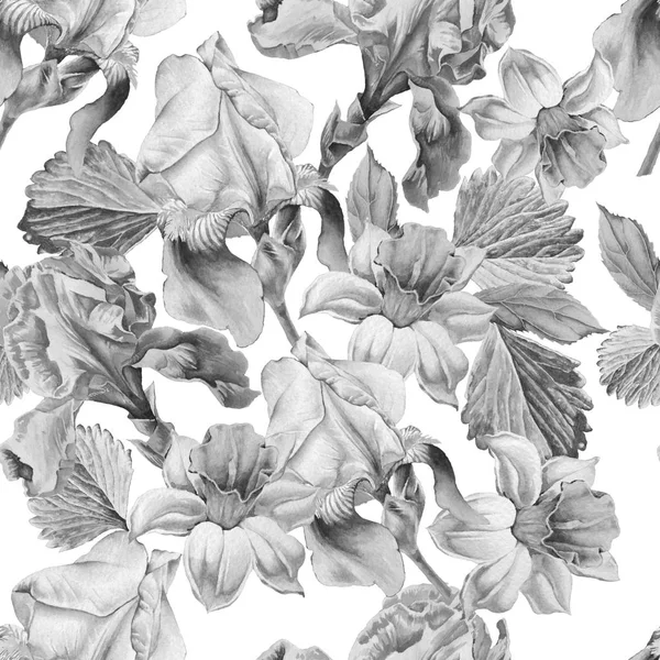 Fekete-fehér varrat nélküli mintát virágokkal. Nárcisz. Iris. Akvarell illusztráció. — Stock Fotó