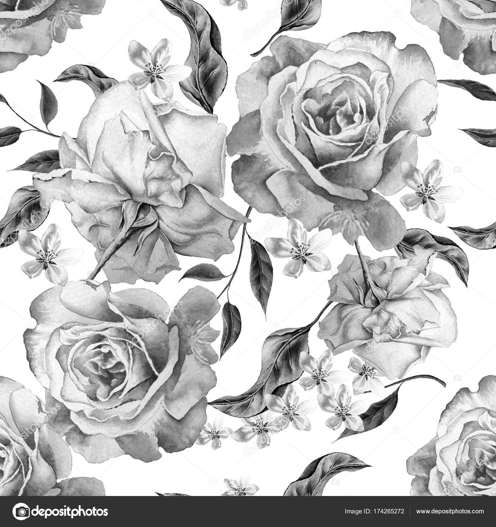 Monochrome Seamless Pattern With Roses Watercolor Illustration Stock Photo Image By C Rednex