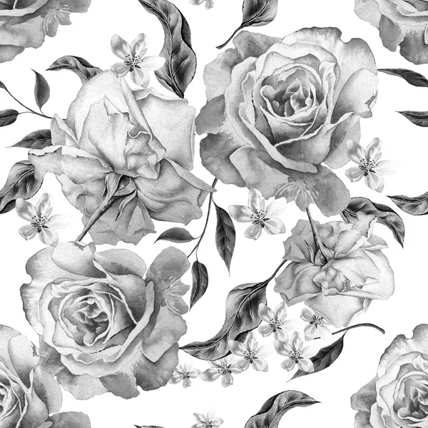 Monochrome seamless pattern with roses. Watercolor illustration. — Stock Photo, Image