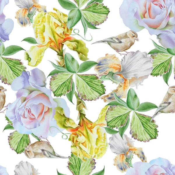Φωτεινό χωρίς ραφή πρότυπο με λουλούδια. Iris. Τριαντάφυλλο. Πουλί. Watercol — Φωτογραφία Αρχείου
