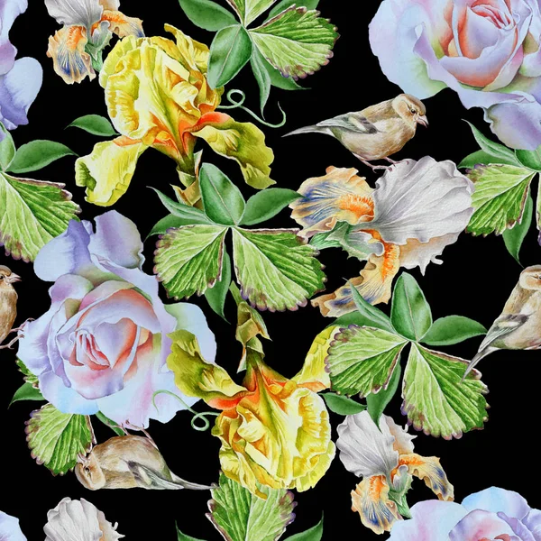 Jasny wzór z kwiatami. Iris. Rose. Ptak. Watercol — Zdjęcie stockowe