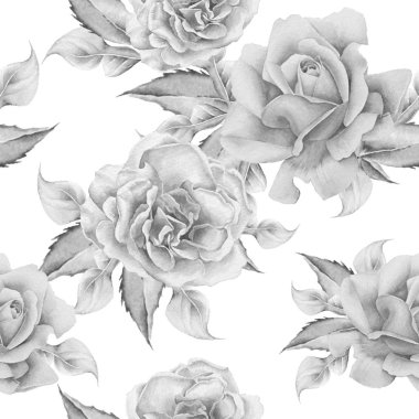 Çiçekler ile Seamless modeli. Rose. Sulu boya resim. Elle çizilmiş.