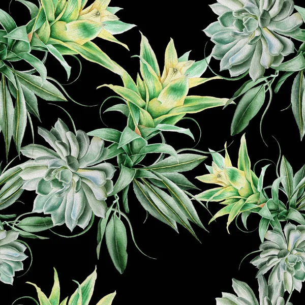 Luminoso modello senza cuciture con succulente e foglie. Illustrazione ad acquerello. Disegnato a mano . — Foto Stock