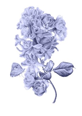 Suluboya buket çiçekli. Leylak. Kelebek. Resimde. Elle çizilmiş.