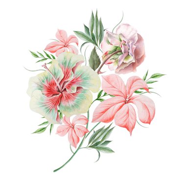 Çiçekli suluboya buket. Gül. Hibiscus. İllüzyon. El çizimi.