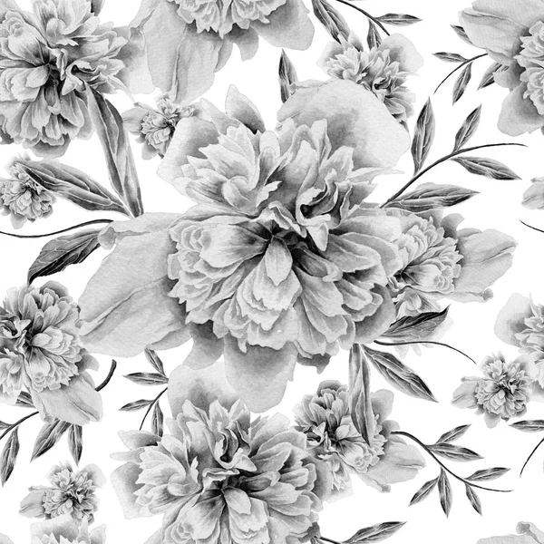 Seamless pattern with flowers. Peony. Watercolor illustration. Hand drawn. — Stock Photo, Image