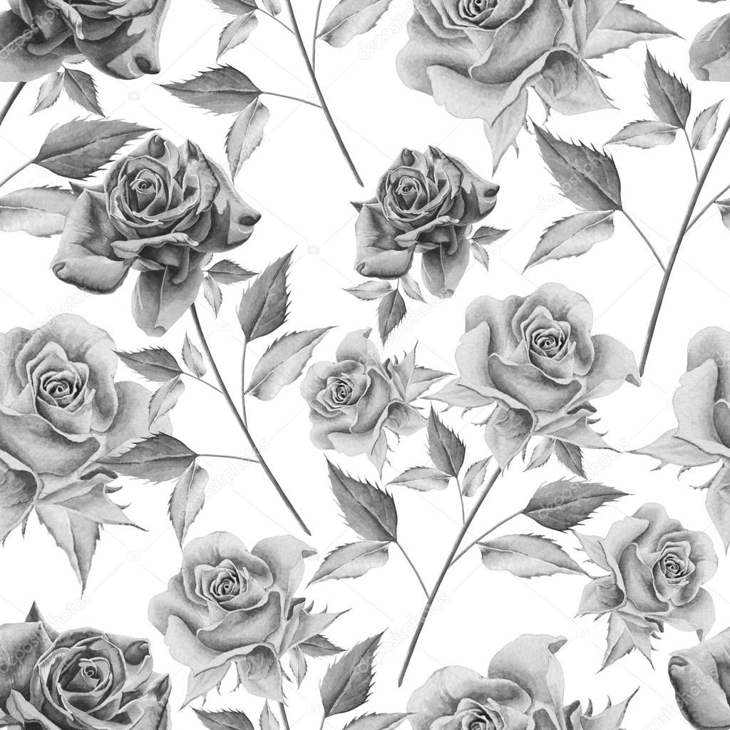 Seamless pattern with roses. Watercolor illustration. Hand drawn.