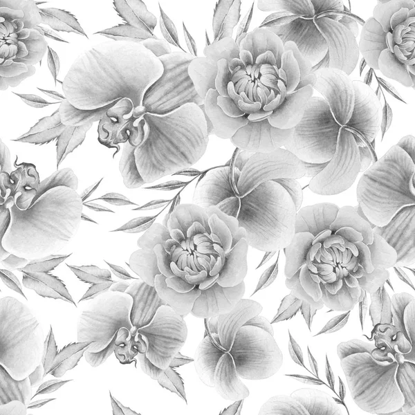 Padrão sem costura monocromático com flores. Peony. Orquídea. Ilustração aquarela. Desenhado à mão . — Fotografia de Stock