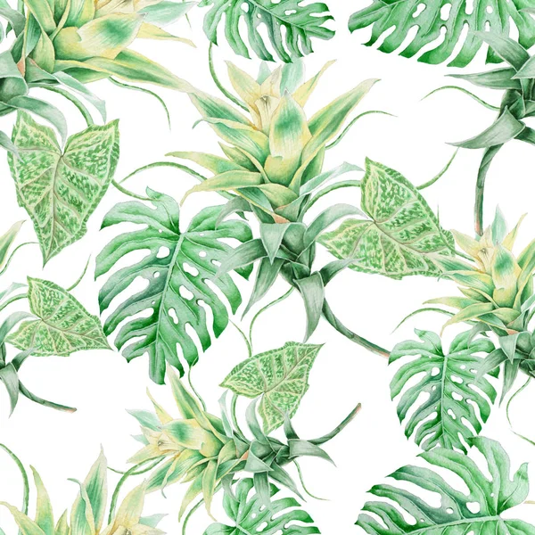 Padrão sem costura brilhante com folhas. Bromélia. Monstera. Ilustração aquarela. Desenhado à mão . — Fotografia de Stock