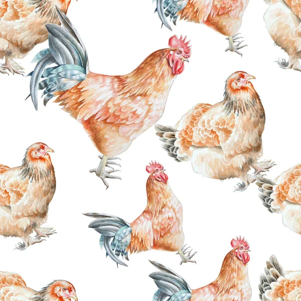 Seamless pattern with   cock and  hen.  Watercolor illustration. Hand drawn. — Stock Photo, Image