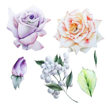 Suluboya çiçekleri ile ayarlayın. Elle çizilmiş.