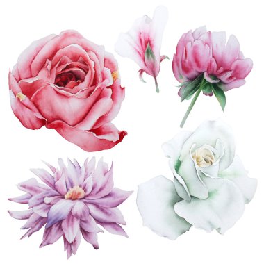 Suluboya çiçekleri ile ayarlayın. Elle çizilmiş.