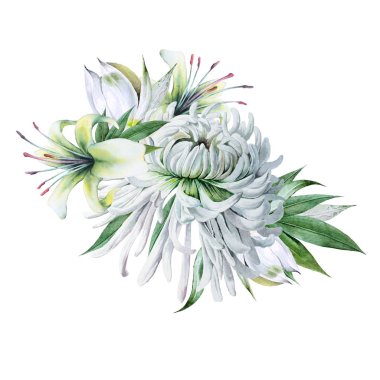 Çiçekli suluboya buket. Kasımpatı. - Lily. Illustra