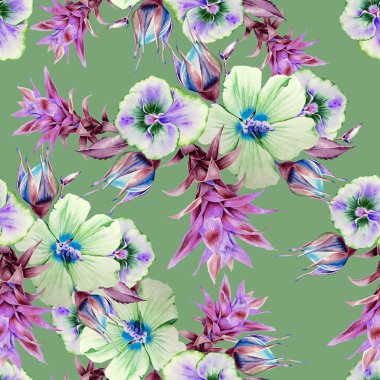 Çiçekli parlak, pürüzsüz bir desen. Bromeliad. Hibiscus. Petunya. Suluboya. El çizimi.