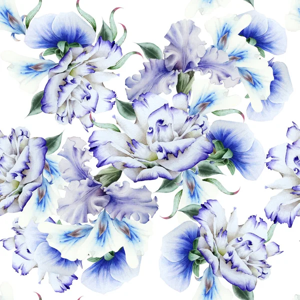 Patrón Brillante Sin Costuras Con Flores Iris Eustoma Acuarela Dibujado —  Fotos de Stock