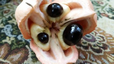Ackee pods opened and picked clipart