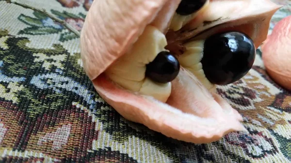 Ackee pods opened and picked — Stock Photo, Image