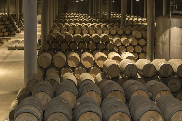 Tárolására szolgáló hordók, a pincészet, La Rioja, Spanyolország — Stock Fotó