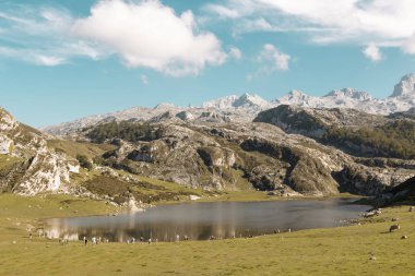 Covadonga Dağları'nın doğal park La Ercina gölde ben
