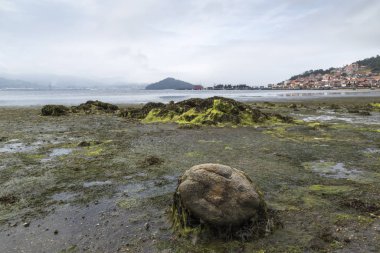 Pontevedra nehrinin manzarası ve Combarro, Galiçya 'nın bir kısmı,