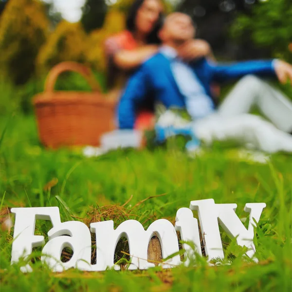 Bella giovane coppia Fare un picnic nel parco. Happy Family Outdoor. Uomo e donna che si rilassano a Park. Rapporti di lavoro — Foto Stock