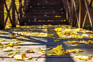 Zeleniy Guy Park, Ukrayna, Dnipro şehri, Dnipropetrovsk