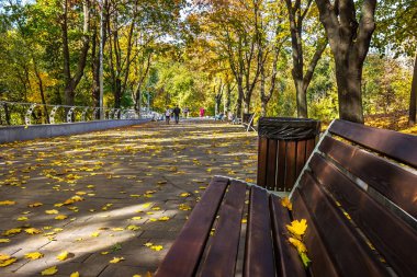 Zeleniy Guy Park, Ukrayna, Dnipro şehri, Dnipropetrovsk