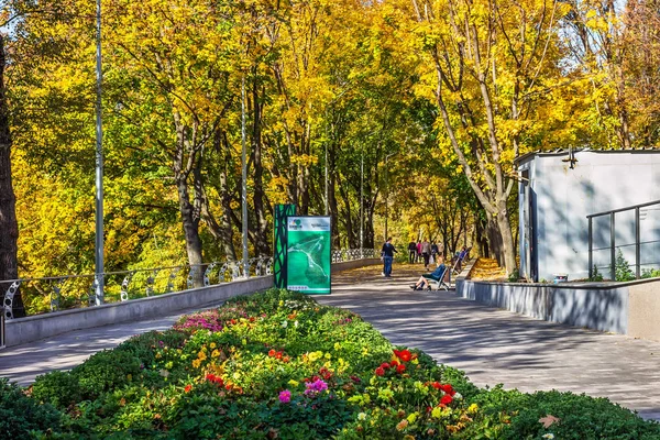 Zeleniy Guy Park Ucrania Ciudad Dnipro Dnipropetrovsk — Foto de Stock