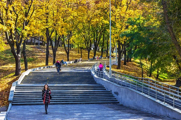 Zeleniy Guy Park Ucrania Ciudad Dnipro Dnipropetrovsk — Foto de Stock