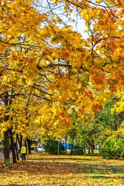 Ekim 'in sonbahar renkleri, Ukrayna, Dnipro şehri, Zafer Duvarı