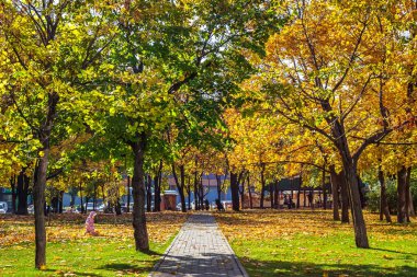 Ekim 'in sonbahar renkleri, Ukrayna, Dnipro şehri, Zafer Duvarı