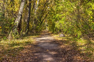 Ekim 'in sonbahar renkleri, Ukrayna, Dnipro şehri, Zafer Duvarı