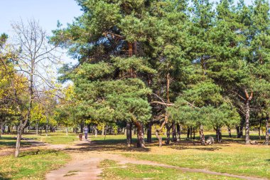 Ekim 'de sonbahar doğası, Dnipro şehri, Zafer seti, Ukrayna